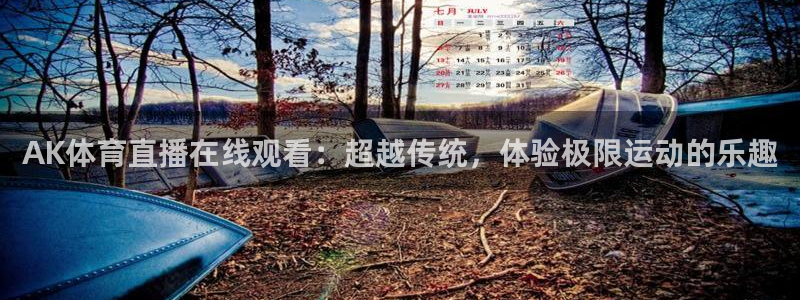 AK体育直播在线观看：超越传统，体验极限运动的乐趣