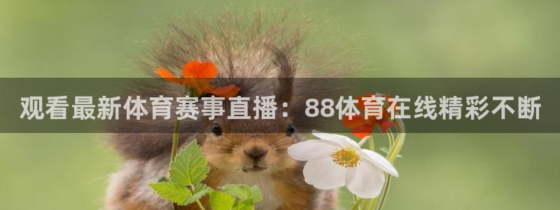 观看最新体育赛事直播：88体育在线精彩不断
