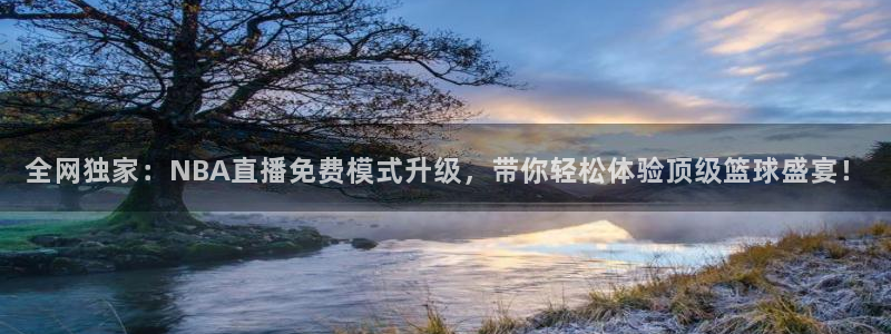 全网独家：NBA直播免费模式升级，带你轻松体验顶级篮球盛宴！